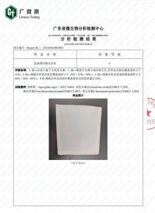 防霉检测报告